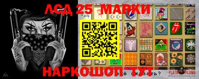 шишки Свободный