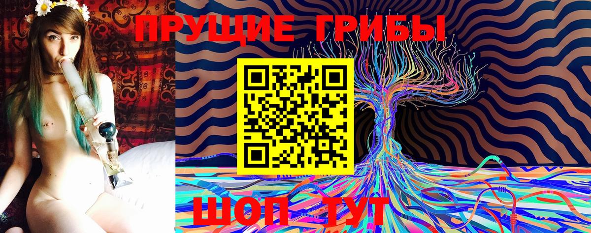 Новокубанск  Псилоцибиновые грибы Psilocybine cubensis  Вход с VPN  Псилоцибиновые грибы мухоморы 
