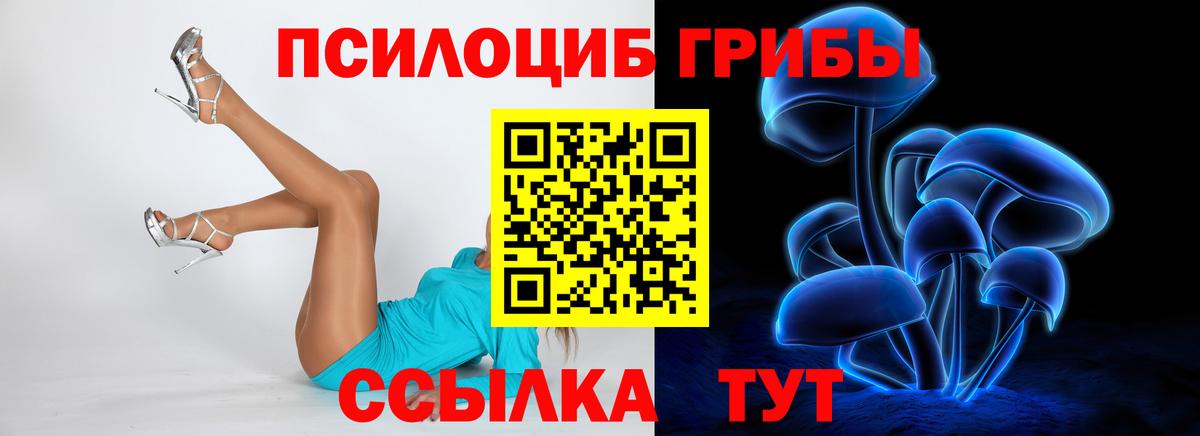 Псилоцибиновые грибы прущие грибы Новокубанск